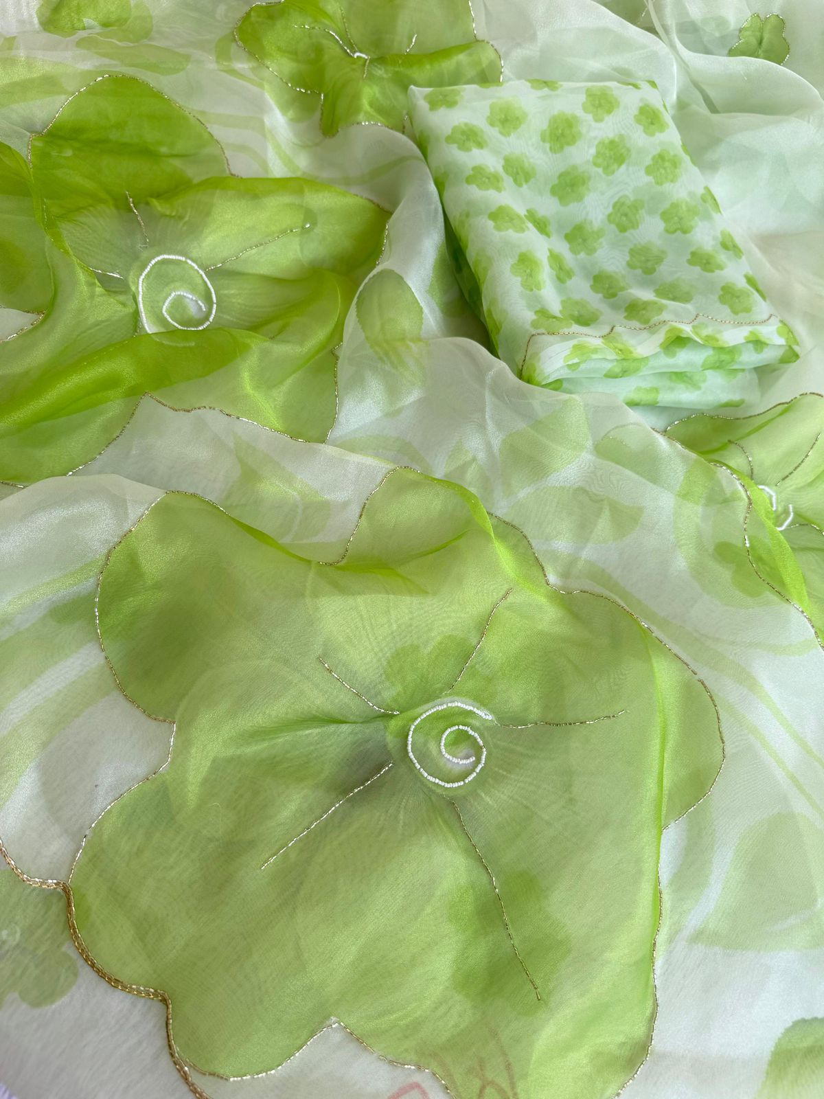 Sheer Poly Organza Saree with Hand-Painted Roses