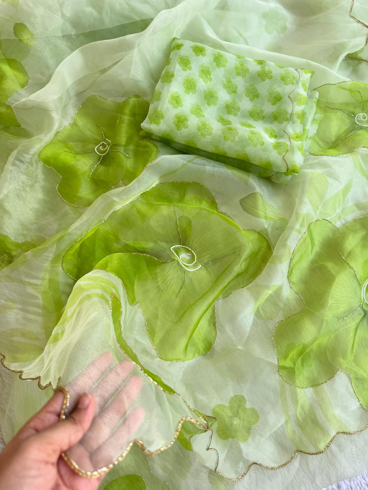 Sheer Poly Organza Saree with Hand-Painted Roses