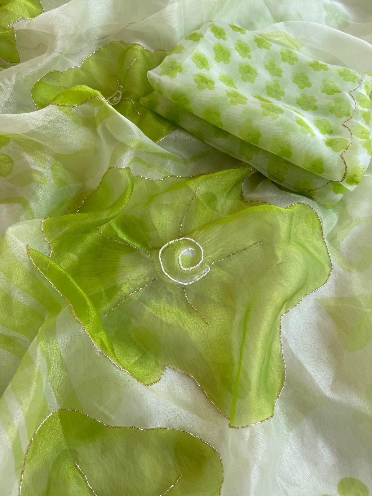 Sheer Poly Organza Saree with Hand-Painted Roses
