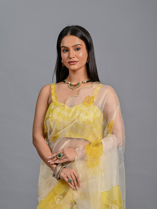 Sheer Poly Organza Saree with Hand-Painted Roses