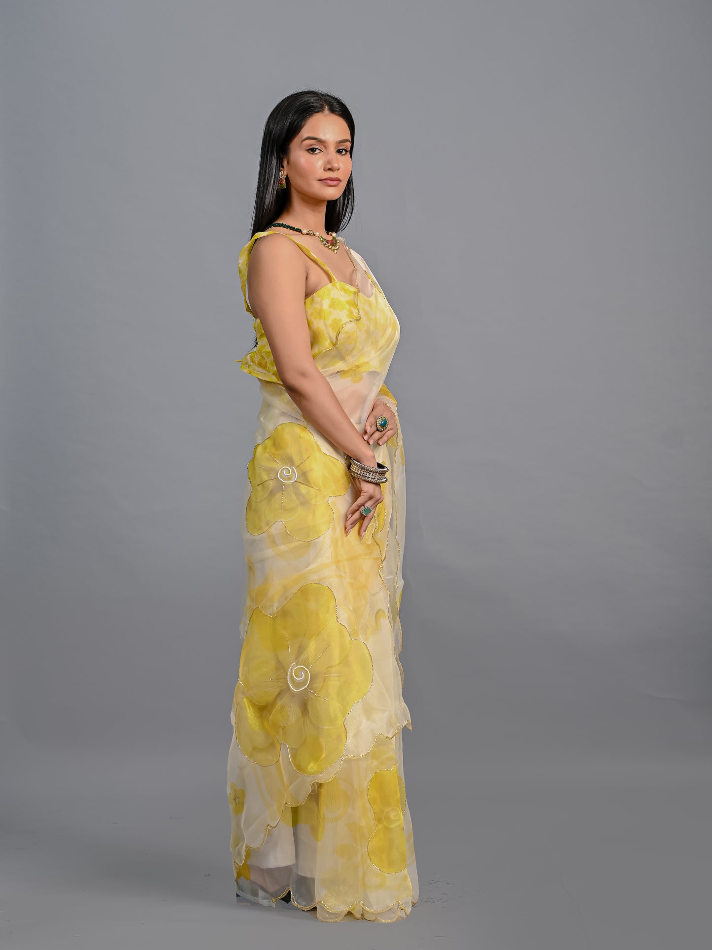 Sheer Poly Organza Saree with Hand-Painted Roses
