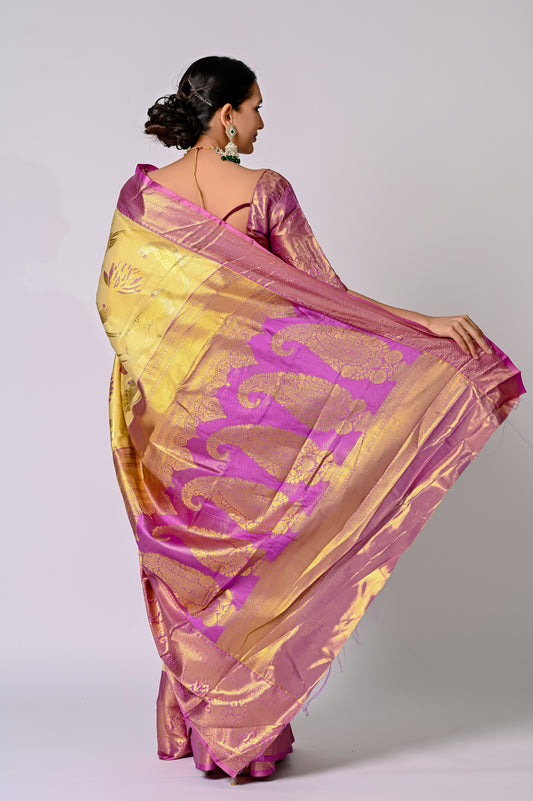Champagne Gold Banarasi Silk Saree with Magenta Contrast